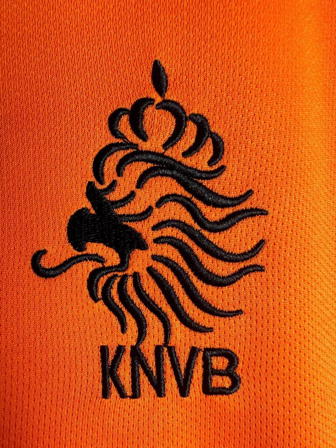 CAMISETA HOLANDA I 98/99 HOMBRE MANGA LARGA (RETRO) - ZonaCamisetas