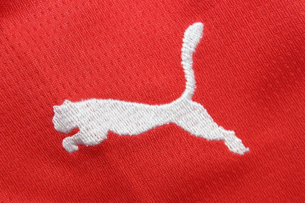 CAMISETA HEIDENHEIM I 24/25 HOMBRE (VERSIÓN FAN) - ZonaCamisetas