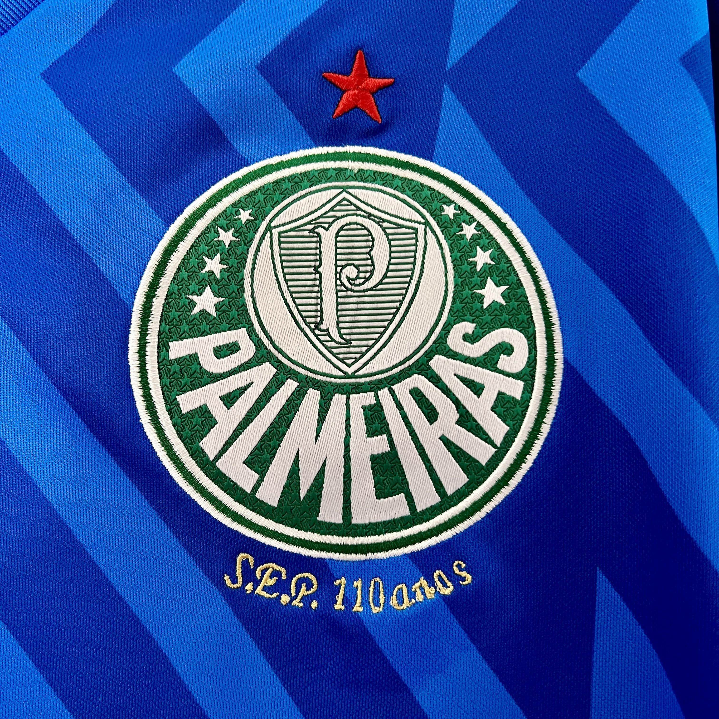 CAMISETA PALMEIRAS PORTERO l 24/25 HOMBRE (VERSIÓN FAN) - ZonaCamisetas