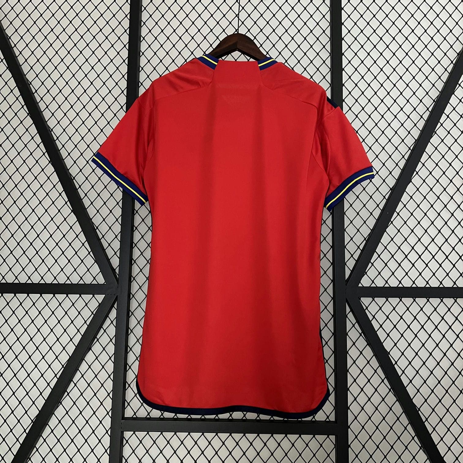 CAMISETA ESPAÑA ESPECIAL I 23/24 HOMBRE (VERSIÓN FAN)