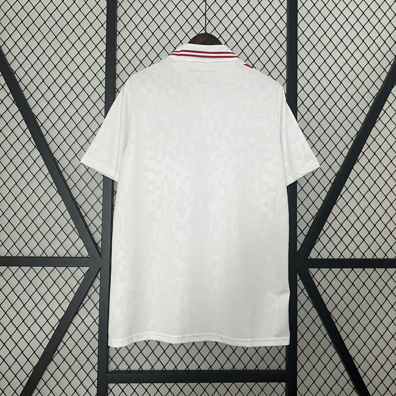 CAMISETA DINAMARCA Il 24 HOMBRE (VERSIÓN FAN) - ZonaCamisetas