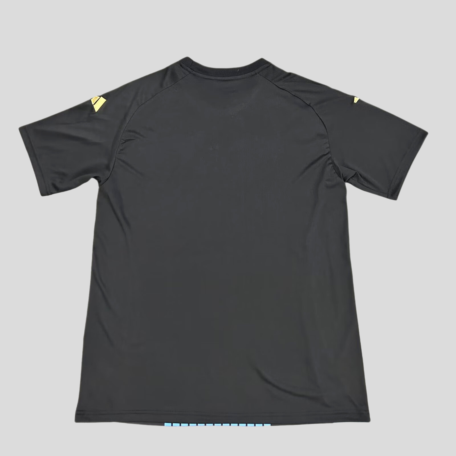 CAMISETA ALEMANIA PREMATCH 24/25 HOMBRE (VERSIÓN FAN)
