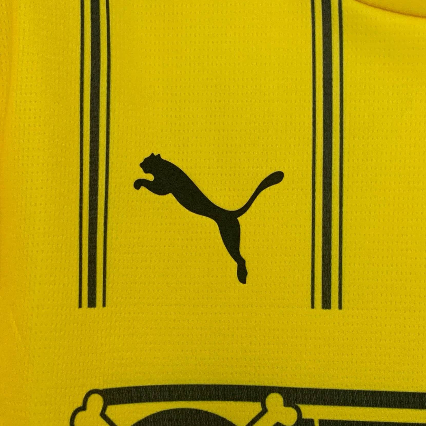 CAMISETA BORUSSIA DORTMUND I 25/26 HOMBRE (VERSIÓN FAN) - ZonaCamisetas