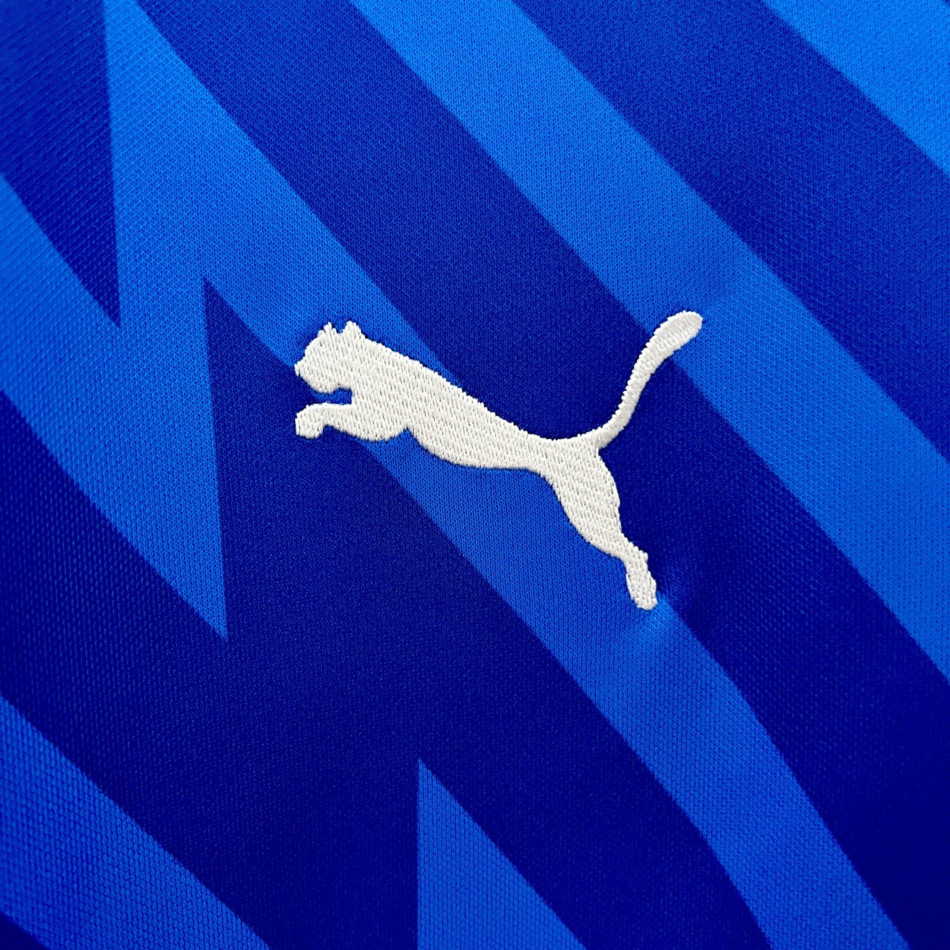 CAMISETA PALMEIRAS PORTERO l 24/25 HOMBRE (VERSIÓN FAN) - ZonaCamisetas