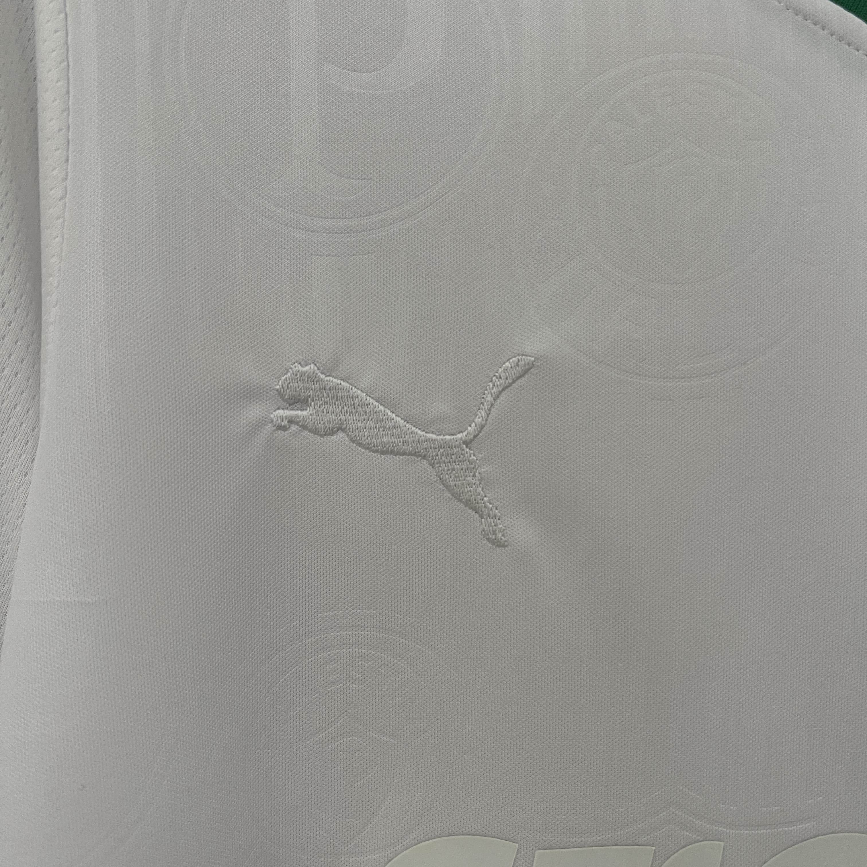 CAMISETA PALMEIRAS I 24/25 HOMBRE EDICIÓN ESPECIAL (VERSIÓN FAN) - ZonaCamisetas