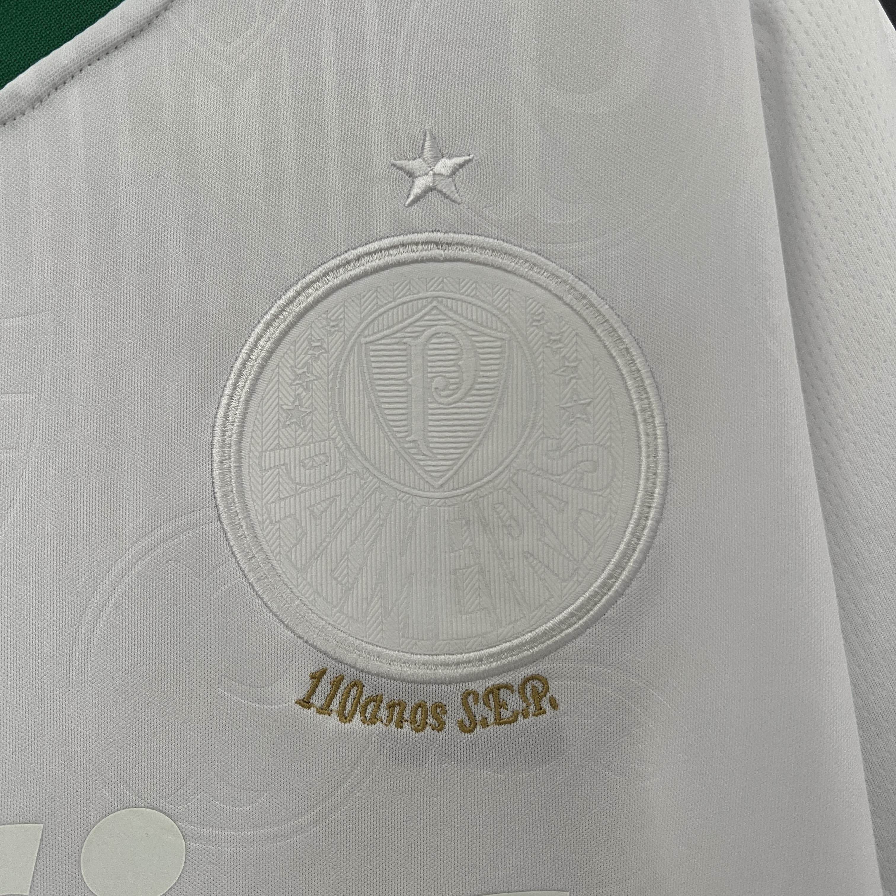 CAMISETA PALMEIRAS I 24/25 HOMBRE EDICIÓN ESPECIAL (VERSIÓN FAN) - ZonaCamisetas