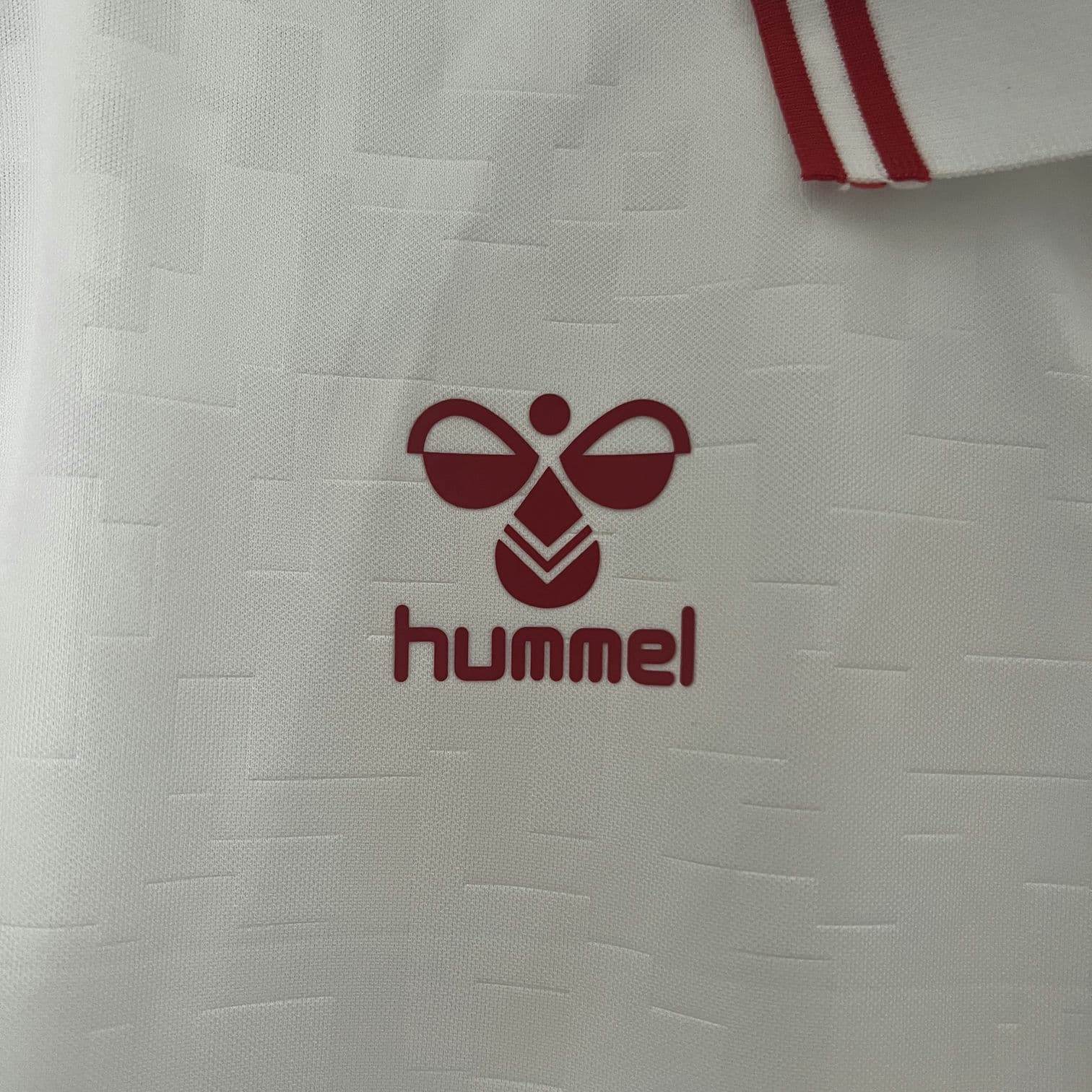 CAMISETA DINAMARCA Il 24 HOMBRE (VERSIÓN FAN) - ZonaCamisetas