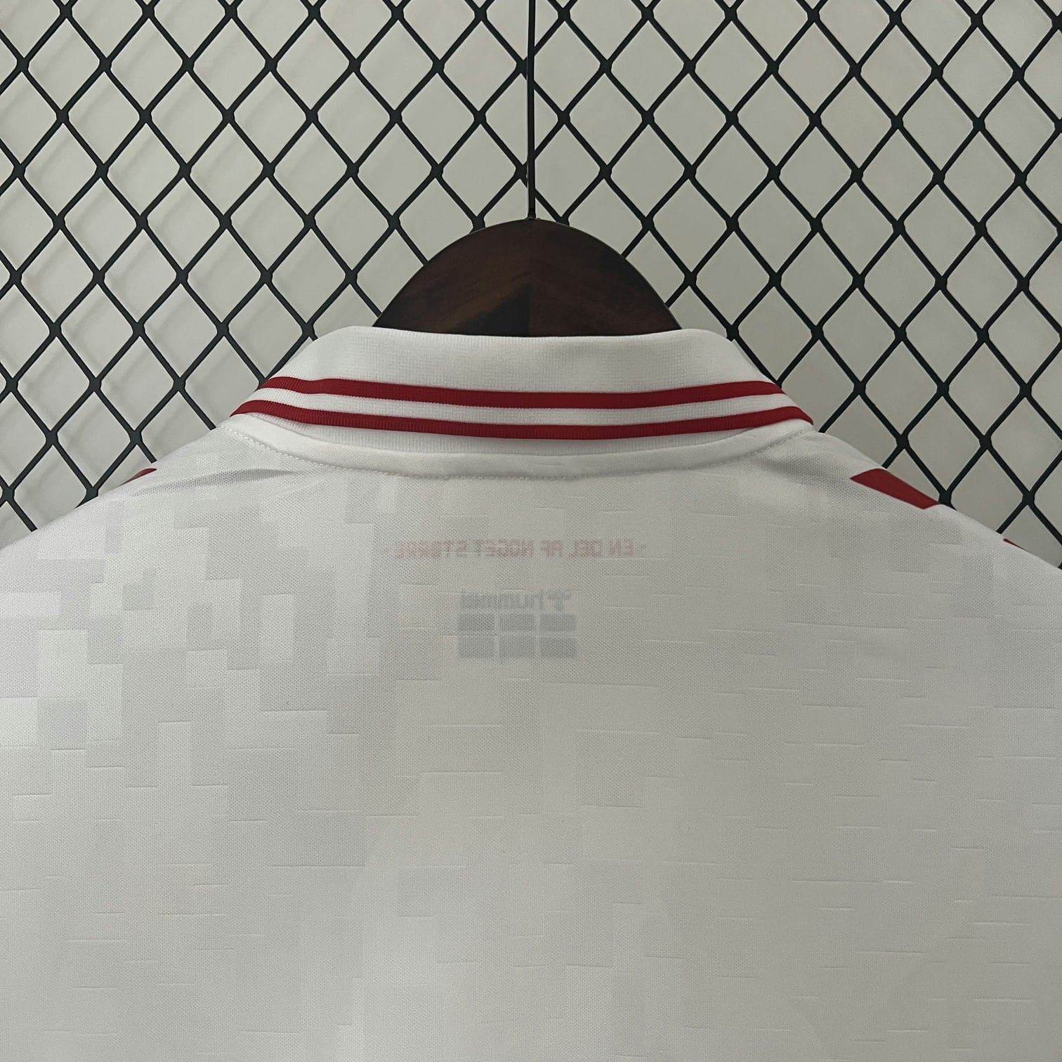 CAMISETA DINAMARCA Il 24 HOMBRE (VERSIÓN FAN) - ZonaCamisetas