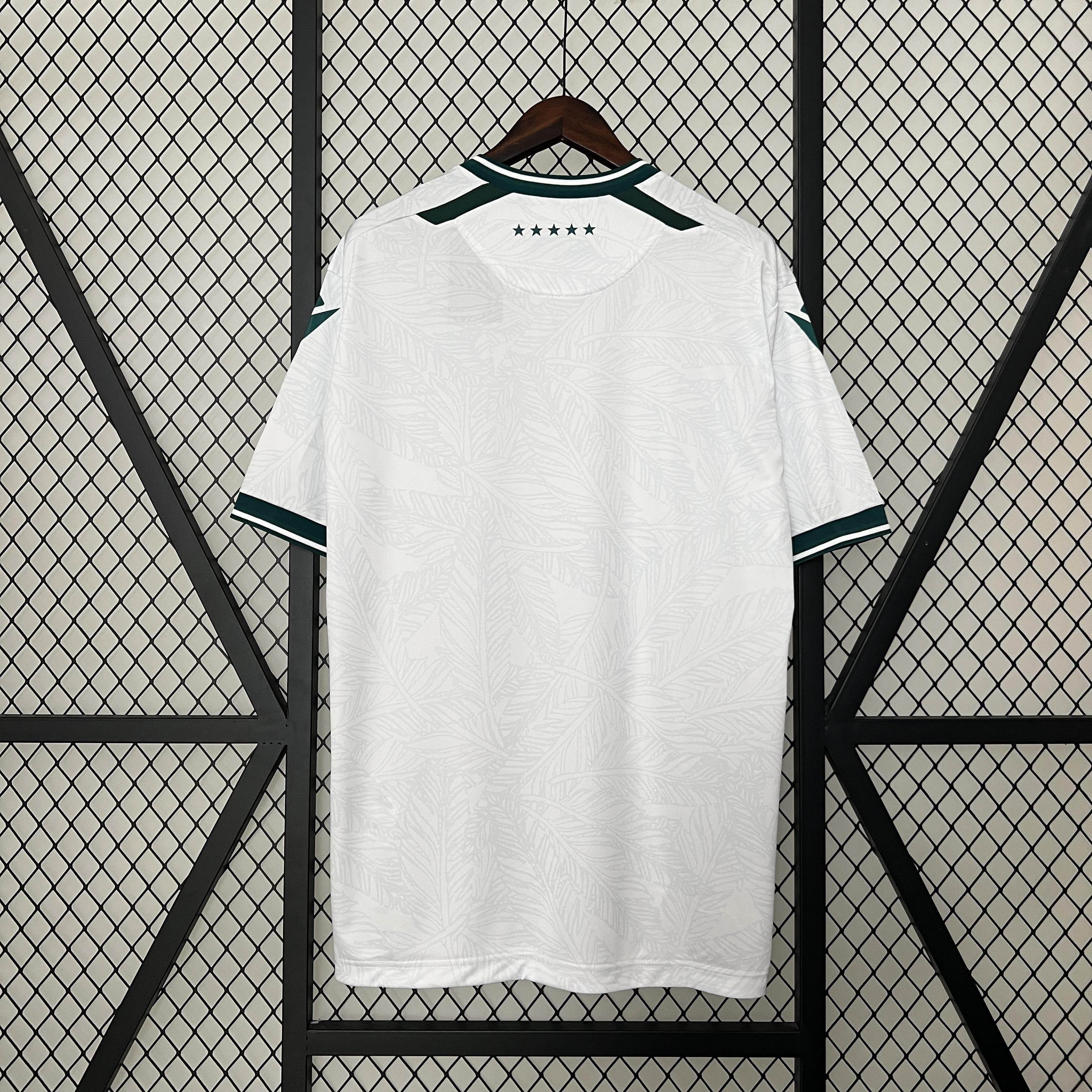 CAMISETA SANTIAGO WANDERERS Il 24/25 HOMBRE (VERSIÓN FAN) - ZonaCamisetas
