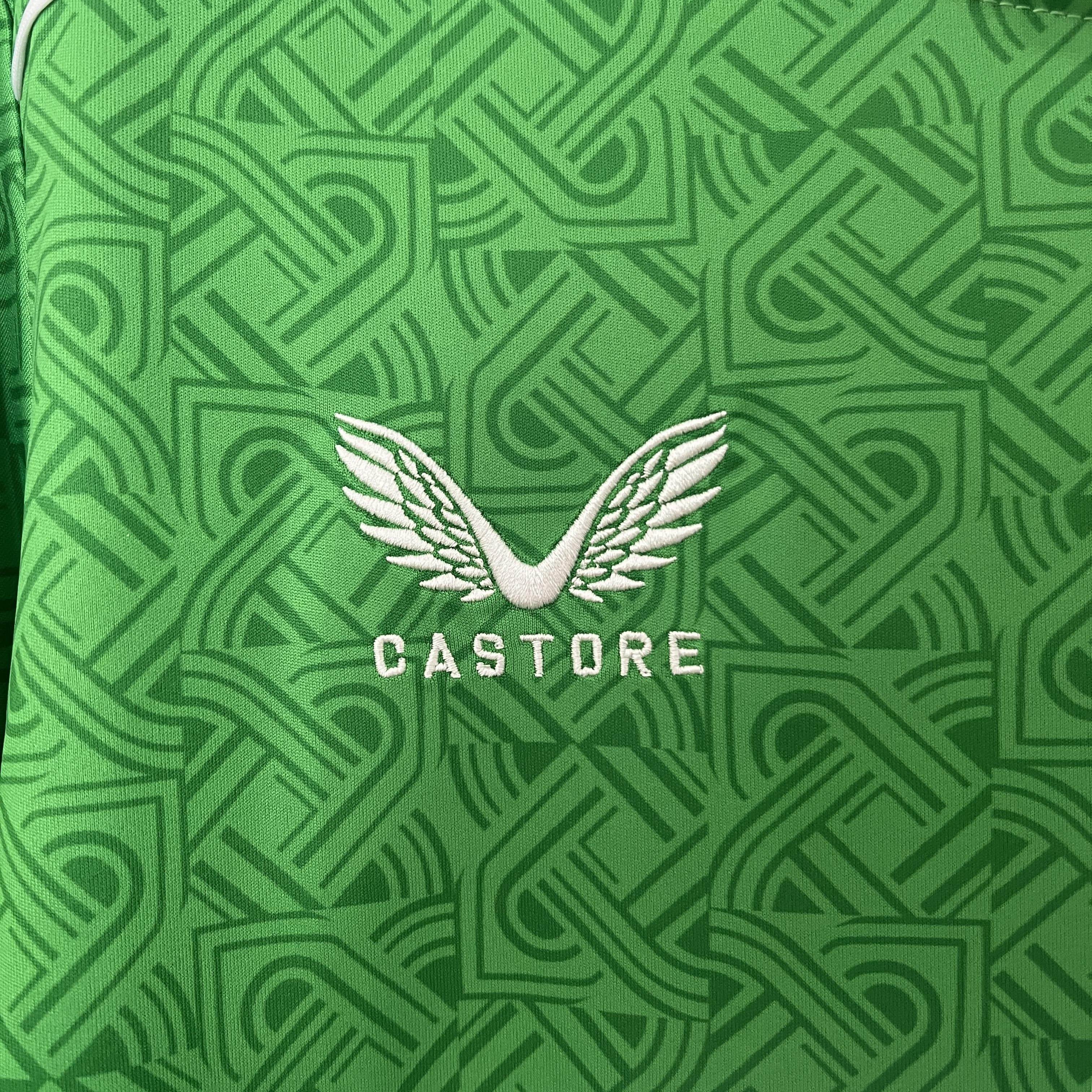 CAMISETA IRLANDA I 24/25 HOMBRE (VERSIÓN FAN) - ZonaCamisetas