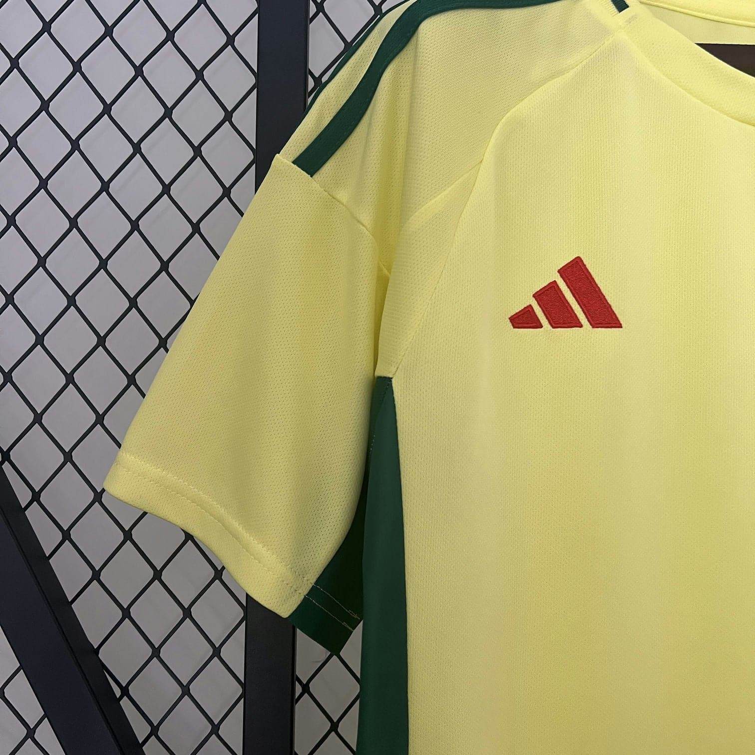 CAMISETA GALES ll EURO 2024 HOMBRE (VERSIÓN FAN) - ZonaCamisetas