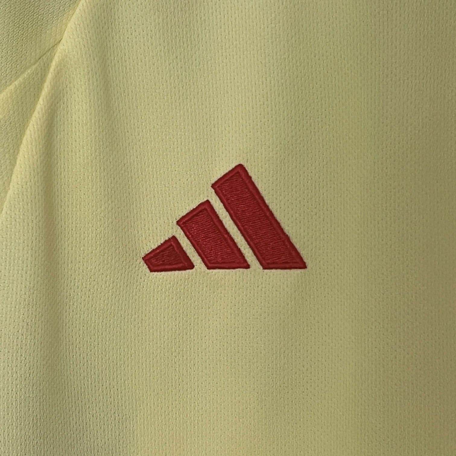 CAMISETA GALES ll EURO 2024 HOMBRE (VERSIÓN FAN) - ZonaCamisetas