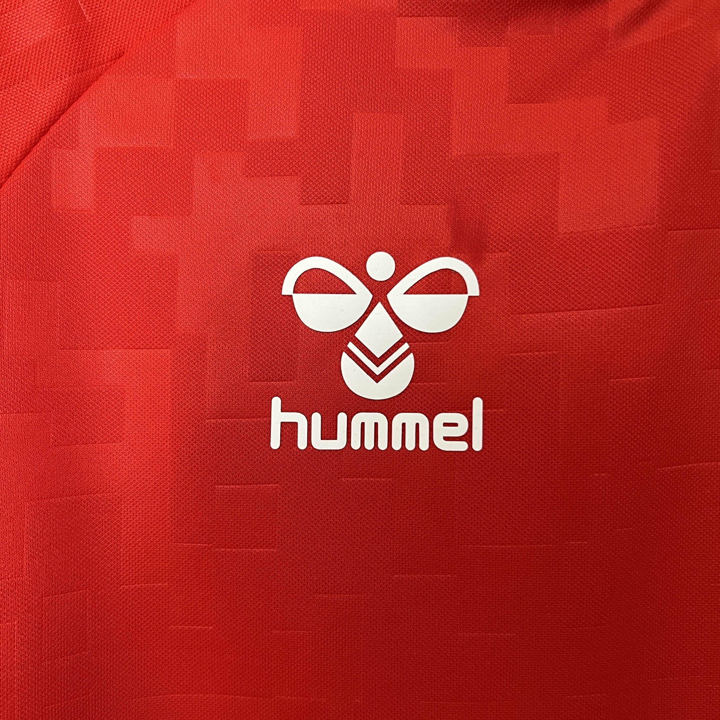 CAMISETA DINAMARCA I 24 HOMBRE (VERSIÓN FAN) - ZonaCamisetas