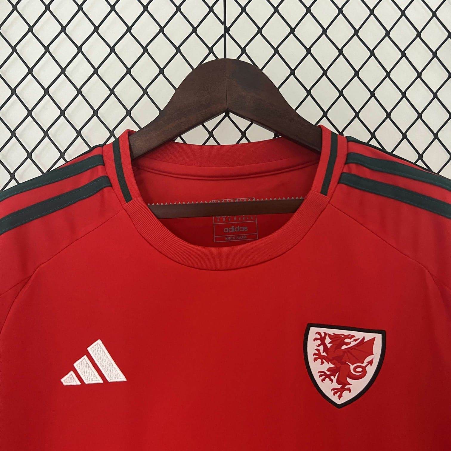 CAMISETA GALES EURO 2024 HOMBRE (VERSIÓN FAN) - ZonaCamisetas