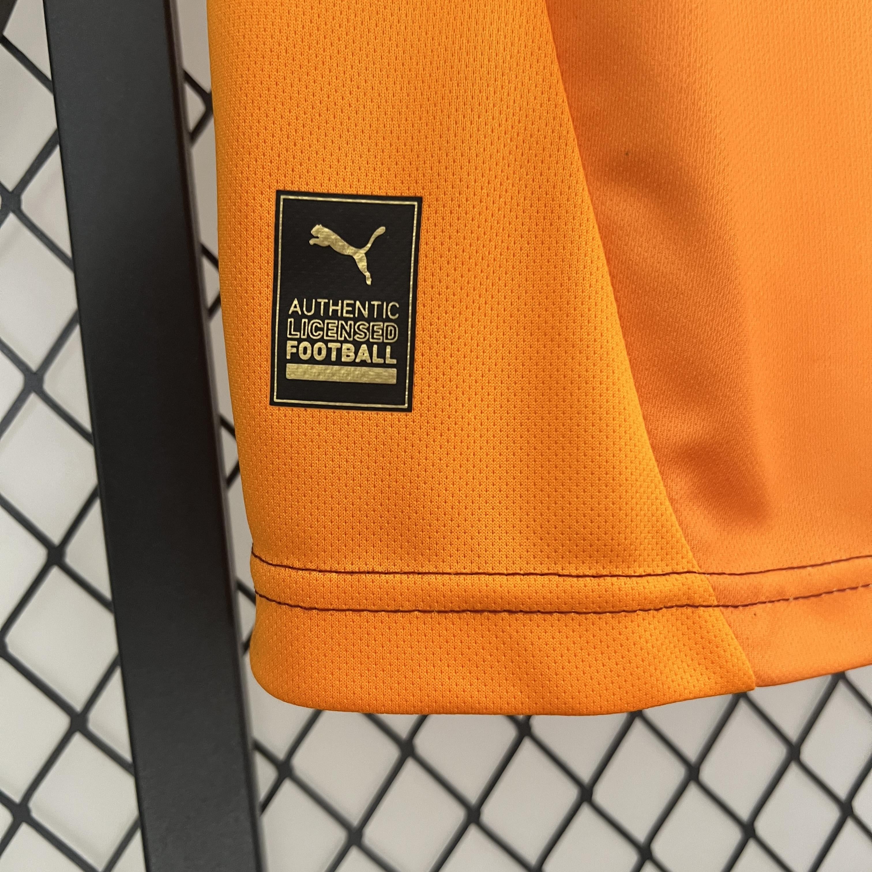 CAMISETA GALATASARAY I 24/25 HOMBRE (VERSIÓN FAN)