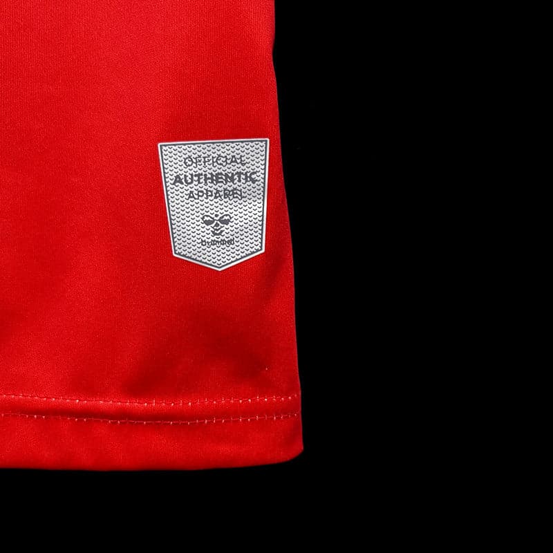 CAMISETA DINAMARCA I 23/24 HOMBRE (VERSIÓN FAN)