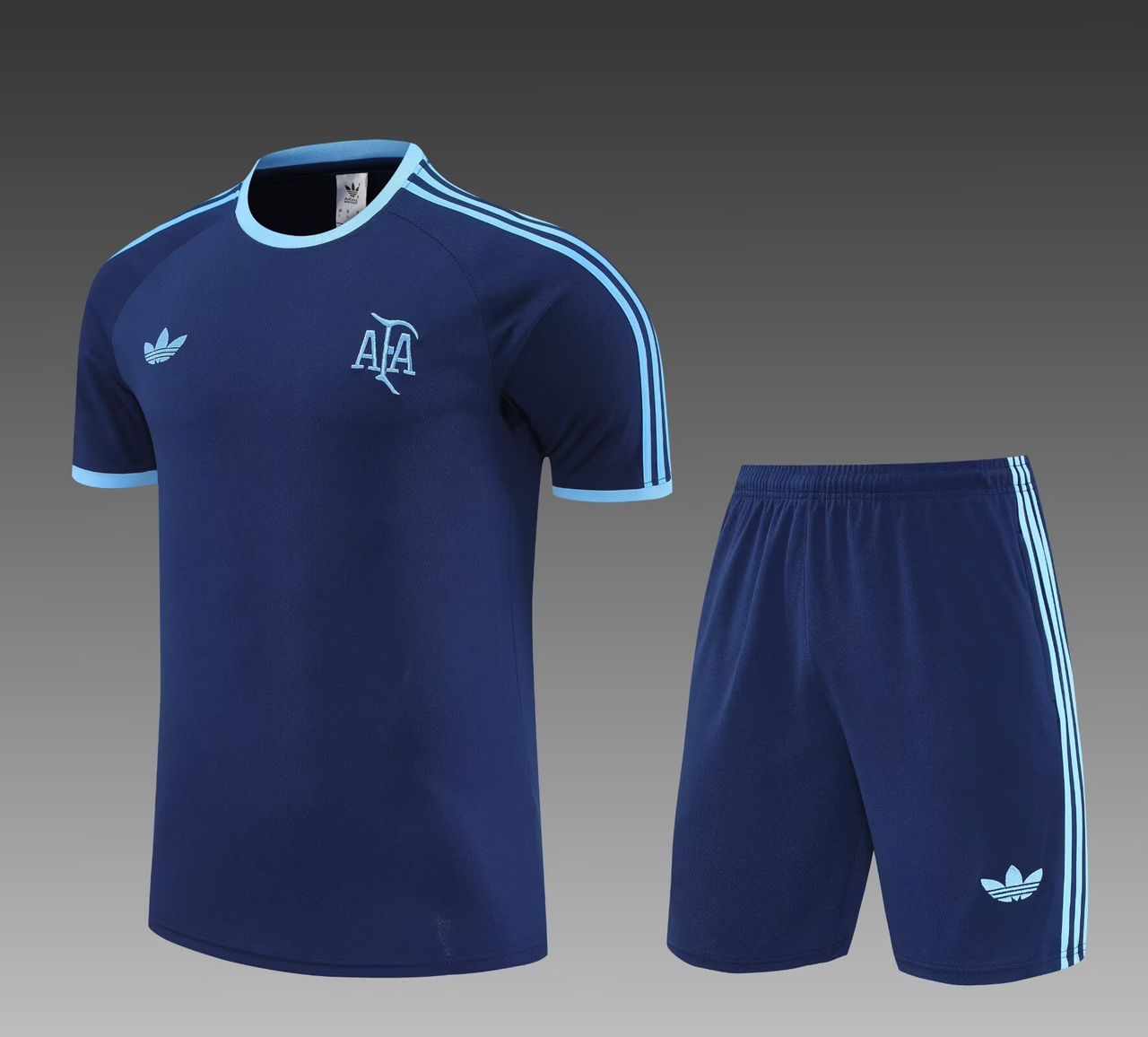 CONJUNTO CORTO ARGENTINA ENTRENAMIENTO I 25/26 HOMBRE