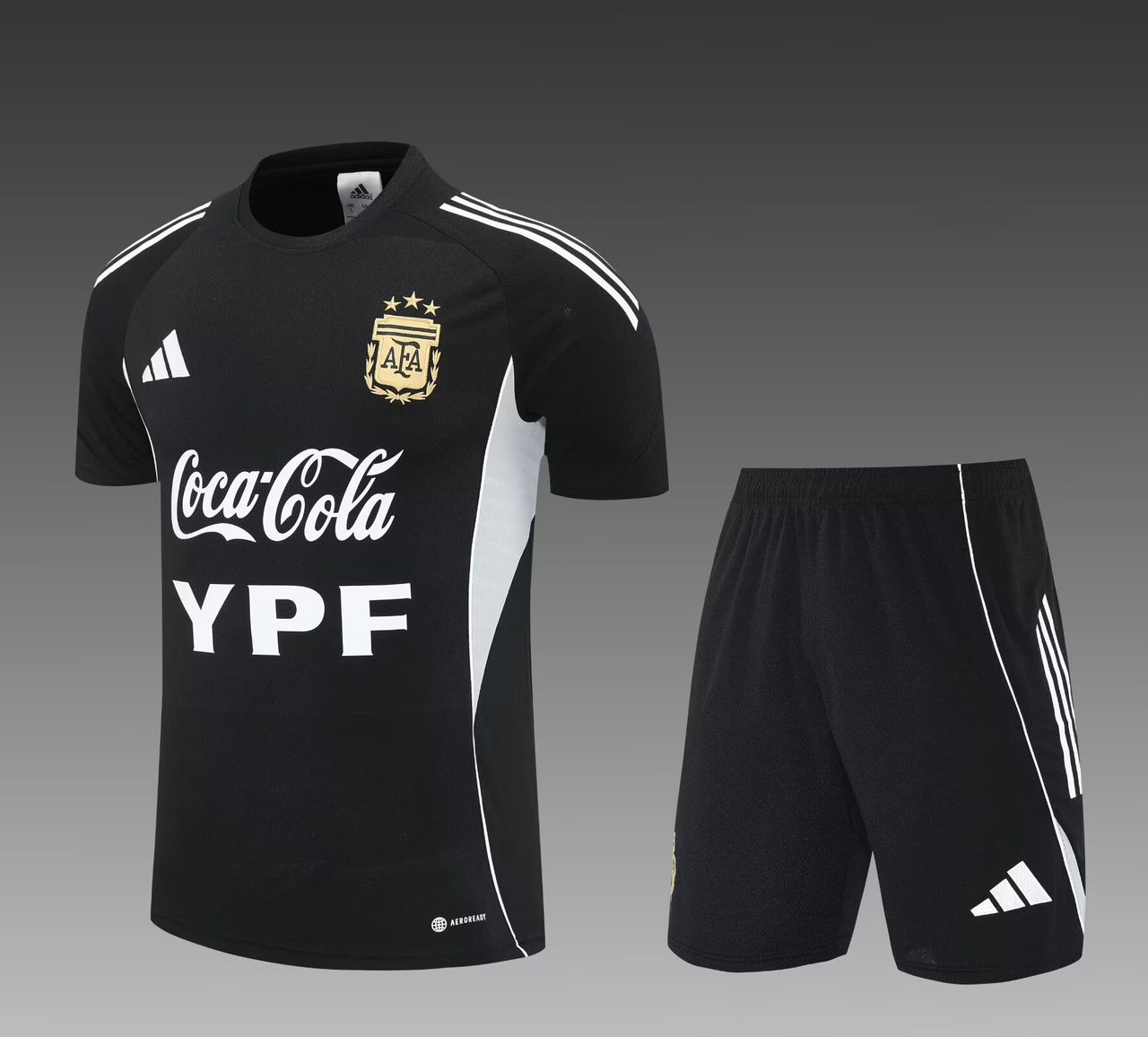 CONJUNTO CORTO ARGENTINA ENTRENAMIENTO II 25/26 HOMBRE