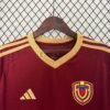 CAMISETA VENEZUELA I COPA AMÉRICA 2024 HOMBRE (VERSIÓN FAN) - Zona Camisetas