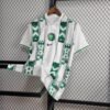 17afd4bc CAMISETA NIGERIA Il 2024 HOMBRE (VERSIÓN FAN) - Zona Camisetas