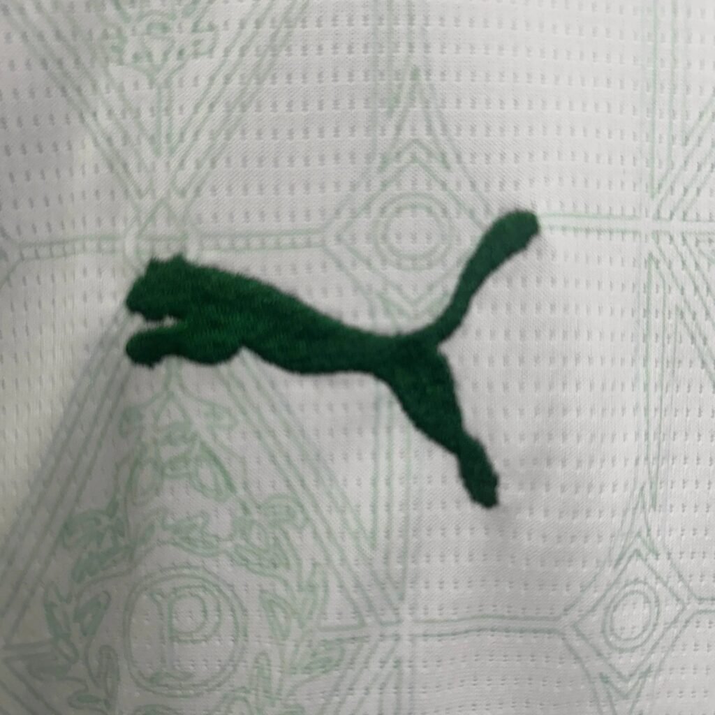 CAMISETA PALMEIRAS lI 25/26 CONJUNTO INFANTIL - Zona Camisetas