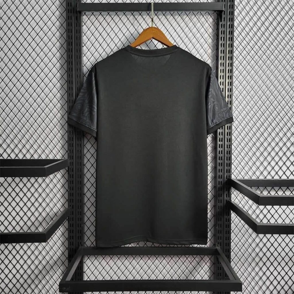 CAMISETA NIGERIA ENTRENAMIENTO 22/23 HOMBRE (VERSIÓN FAN) - Zona Camisetas