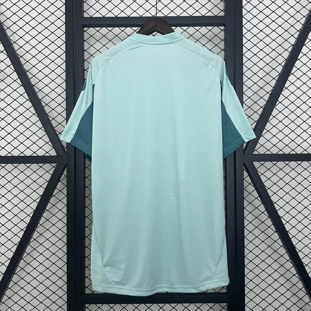 389cf9d8_478e4712-27fe-4091-b6f8-fe7dcef23c4b CAMISETA CRUZEIRO l ENTRENAMIENTO 25/26 HOMBRE (VERSIÓN FAN) - Zona Camisetas