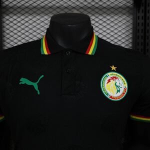 CAMISETA SENEGAL lI 24/25 HOMBRE (VERSIÓN JUGADOR) - Zona Camisetas