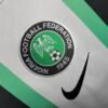 CAMISETA NIGERIA ENTRENAMIENTO 22/23 HOMBRE (VERSIÓN FAN) - Zona Camisetas