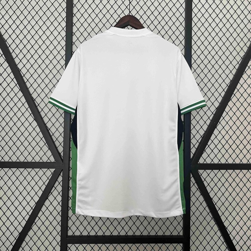 CAMISETA NIGERIA I 2024 HOMBRE (VERSIÓN FAN) - Zona Camisetas