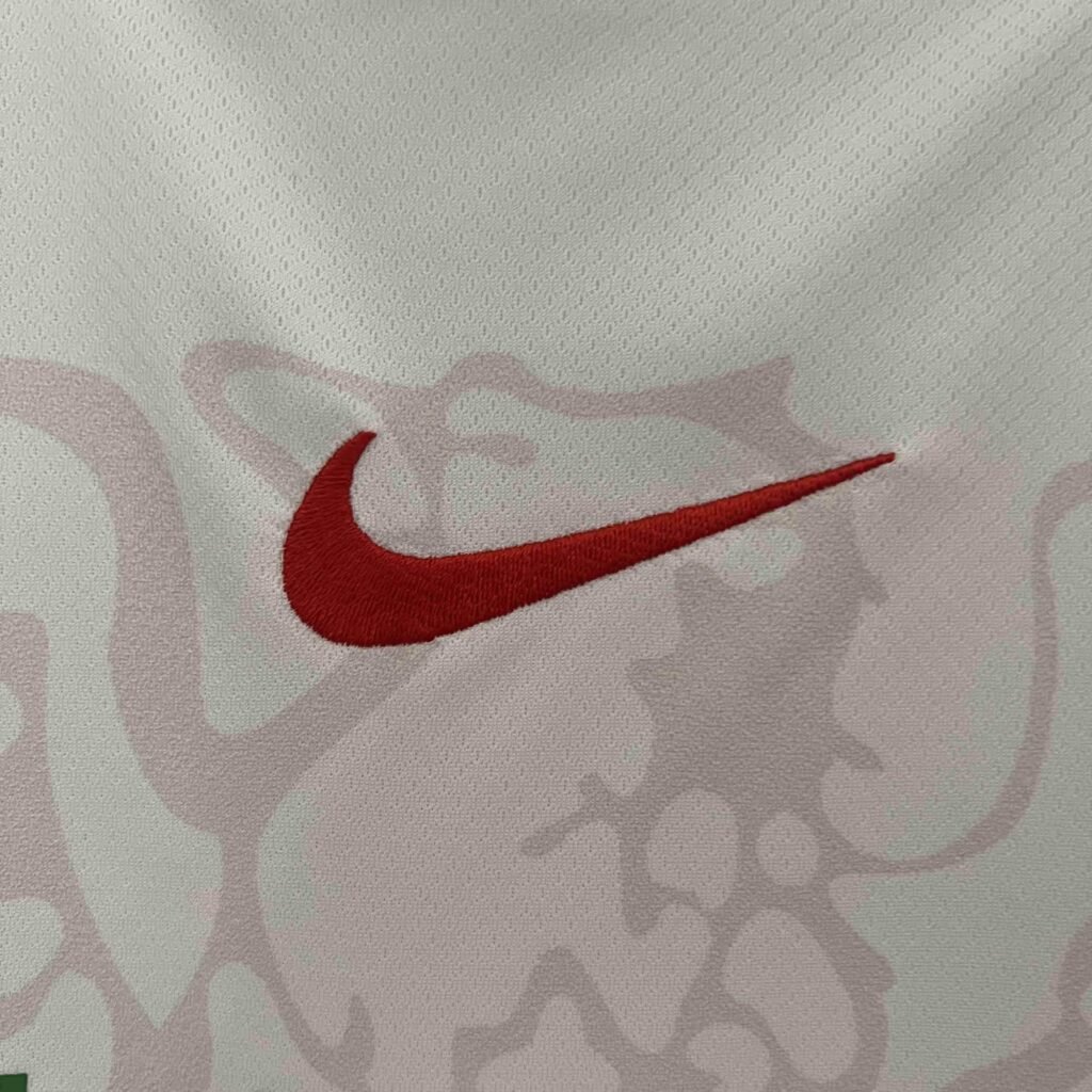 CAMISETA NIGERIA I 2024 HOMBRE (VERSIÓN FAN) - Zona Camisetas