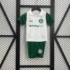 CAMISETA PALMEIRAS lI 25/26 CONJUNTO INFANTIL - Zona Camisetas