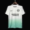 B22_533cd8db-f912-438b-83a0-1ed7c4c858e0 CAMISETA BRIGHTON EDICIÓN ESPECIAL I 23/24 HOMBRE (VERSIÓN FAN) - ZonaCamisetas