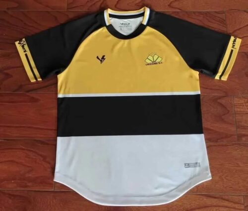 C10_13b66369-447d-4c09-9fb1-8c2d0da4bd88 CAMISETA CRICIUMA II 23/24 HOMBRE (VERSIÓN FAN) - Zona Camisetas