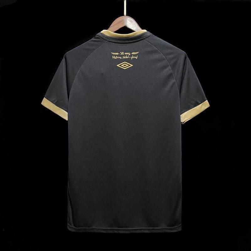 CAMISETA CHAPECOENSE EDICIÓN ESPECIAL I 23/24 HOMBRE (VERSIÓN FAN) - Zona Camisetas