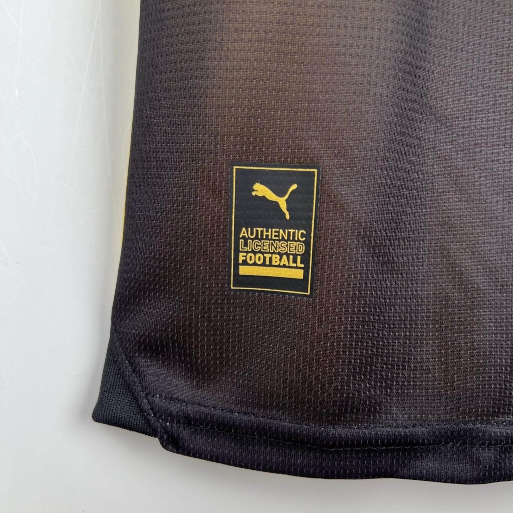 CAMISETA BORUSSIA DORTMUND I 23/24 HOMBRE (VERSIÓN FAN) - ZonaCamisetas