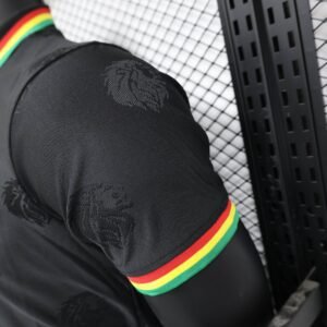 CAMISETA SENEGAL lI 24/25 HOMBRE (VERSIÓN JUGADOR) - Zona Camisetas