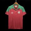 CAMISETA FLUMINENSE ENTRENAMIENTO V 23/24 HOMBRE (VERSIÓN FAN)