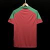 CAMISETA FLUMINENSE ENTRENAMIENTO V 23/24 HOMBRE (VERSIÓN FAN)