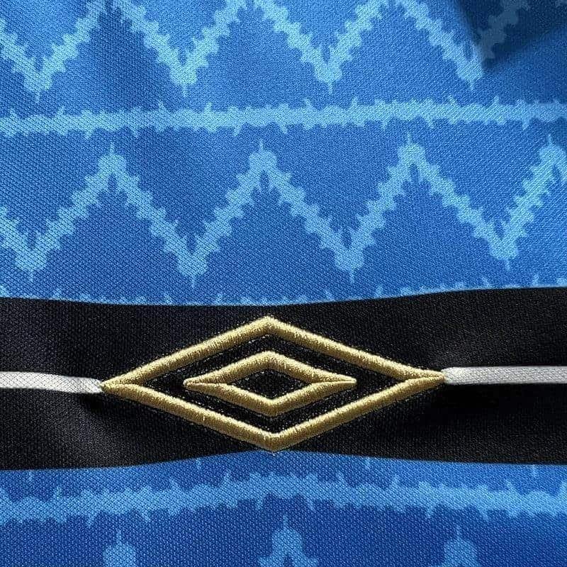 G133 CAMISETA GREMIO EDICIÓN ESPECIAL II 23/24 HOMBRE (VERSIÓN FAN) - ZonaCamisetas