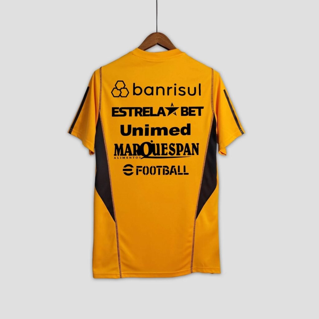CAMISETA INTERNACIONAL ENTRENAMIENTO I 23/24 HOMBRE (VERSIÓN FAN)