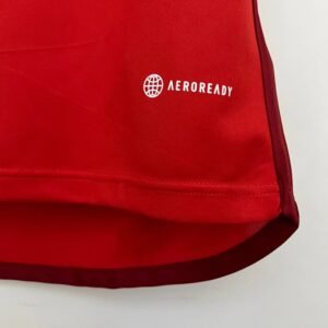 CAMISETA INTERNACIONAL I 23/24 HOMBRE (VERSIÓN FAN)