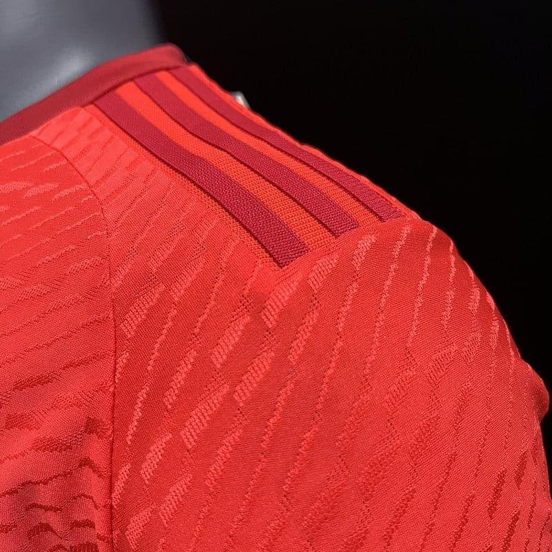 I71_70ddb303-525a-44a5-9f29-df5caa6b3dd3 CAMISETA INTERNACIONAL I 23/24 HOMBRE (VERSION JUGADOR)