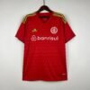 CAMISETA INTERNACIONAL PORTERO II 23/24 HOMBRE (VERSIÓN FAN)