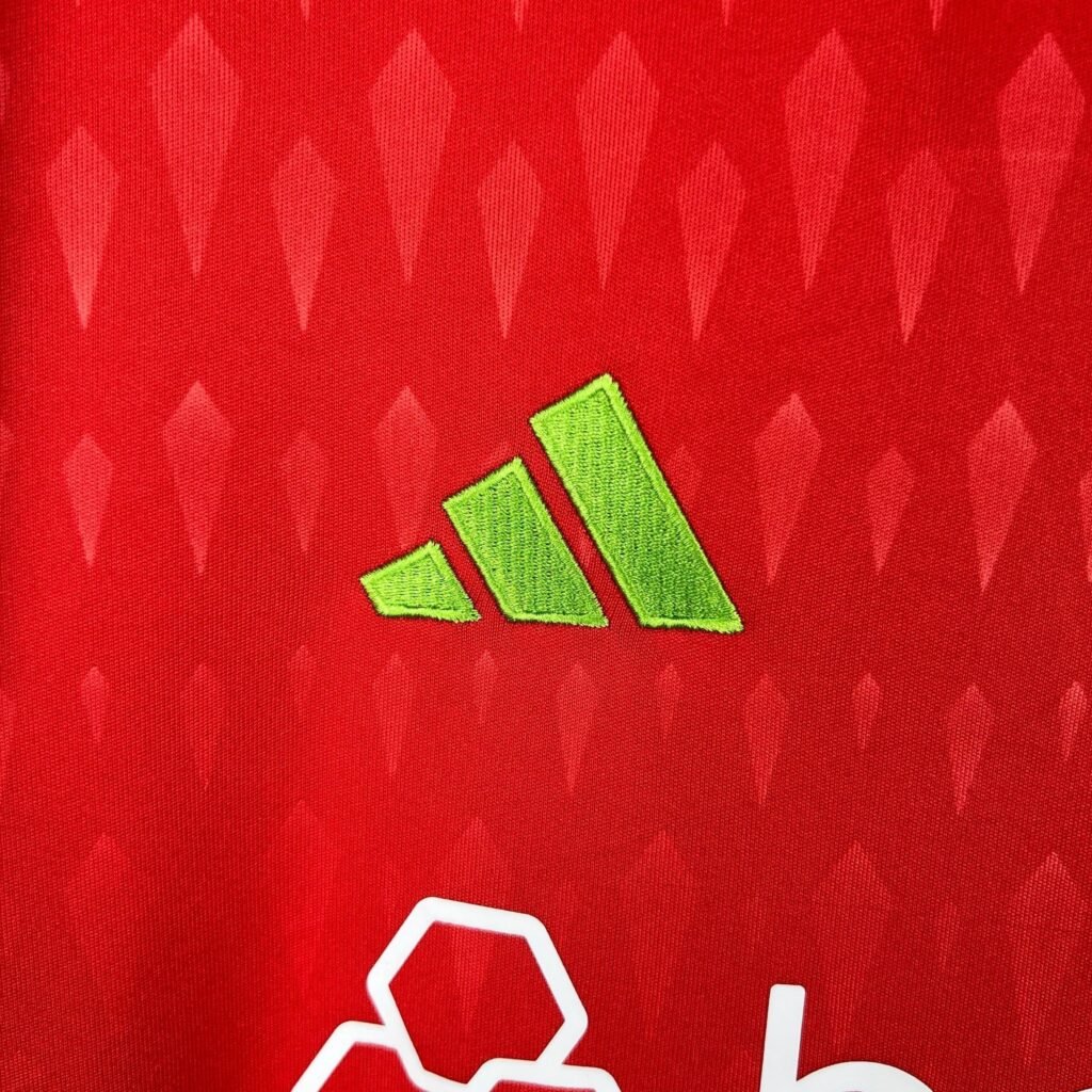 CAMISETA INTERNACIONAL PORTERO II 23/24 HOMBRE (VERSIÓN FAN)