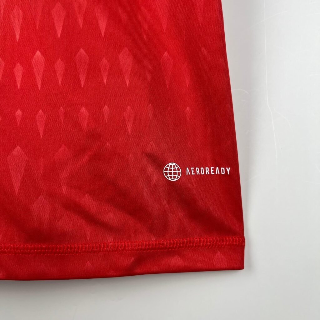 CAMISETA INTERNACIONAL PORTERO II 23/24 HOMBRE (VERSIÓN FAN)