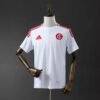 CAMISETA INTERNACIONAL II 25/26 HOMBRE (VERSIÓN FAN) - Zona Camisetas