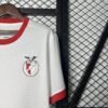 a689ee24_e87284b1-849e-45d8-b8cd-0f47efa019c4 CAMISETA BENFICA ESPECIAL 25/26 HOMBRE (VERSIÓN FAN) - Zona Camisetas