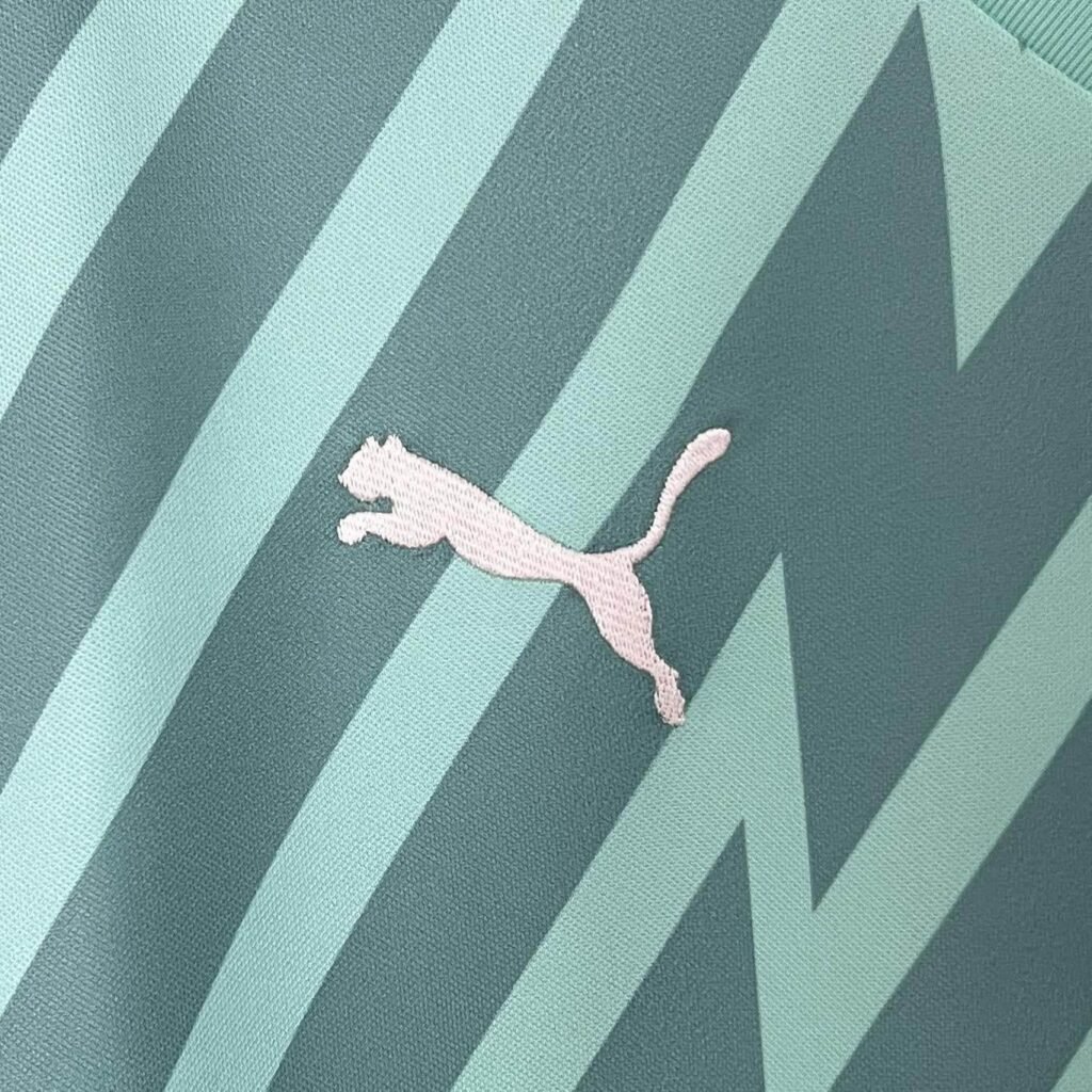 CAMISETA PALMEIRAS PORTERO l 24/25 HOMBRE (VERSIÓN FAN) - Zona Camisetas