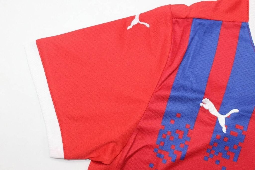 b3713fb1_0415973b-11b9-4335-8cd1-b10d5e35b189 CAMISETA HEIDENHEIM I 24/25 HOMBRE (VERSIÓN FAN) - Zona Camisetas